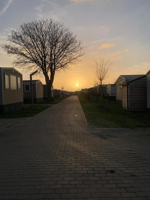 Sunrise