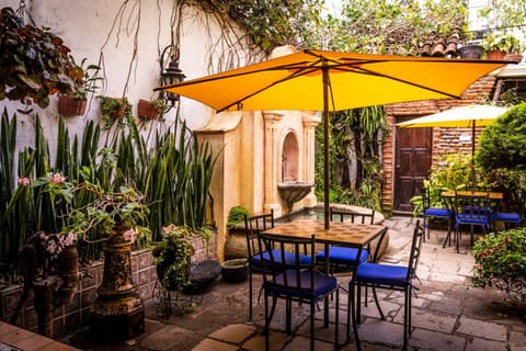 Patio, Garden, Dining area