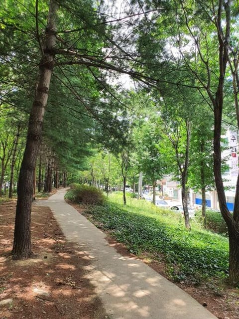 Dalseogu Resting Place Chalet in Daegu