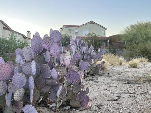 Private Home - Billiards, Mountain Views, Private Desert Access, HOA Pool & Spa, BBQ, at Lambert Park - Bourbondale House in Oro Valley