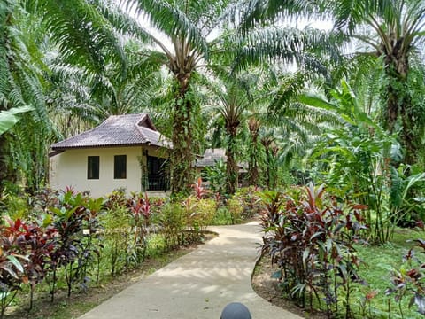 Khao Sok Palm Garden Resort Resort in Khlong Sok