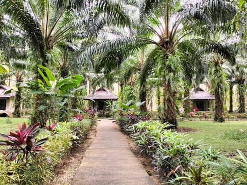 Khao Sok Palm Garden Resort Resort in Khlong Sok
