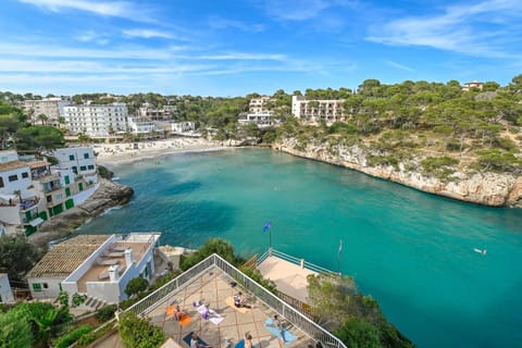 Bird's eye view, Sea view