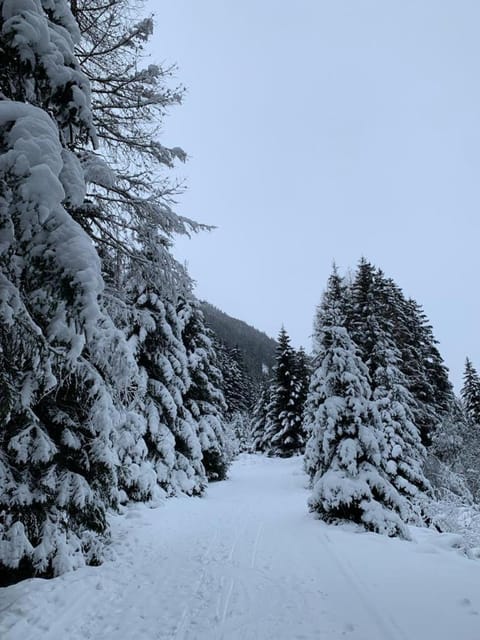 Patztauhof Farm Stay in Trentino-South Tyrol