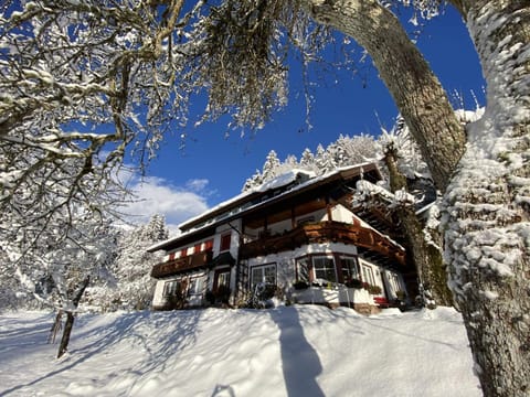 Property building, Winter