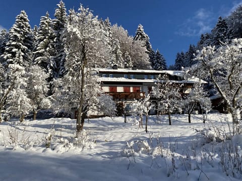 Beim Talschuster Copropriété in Ellmau