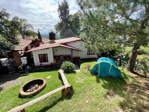 Property building, Garden, Garden view