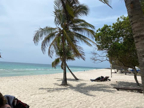 Natural landscape, Beach