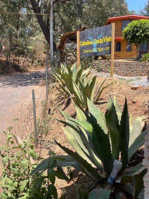 Linda Vista 5 House in Mazamitla