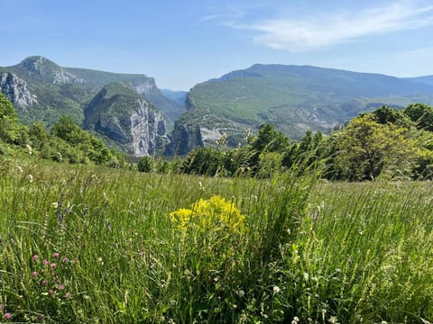 Appartement avec terrasse dans un domaine agricole Pousada com café da manhã (B&B) in Verdon Gorge