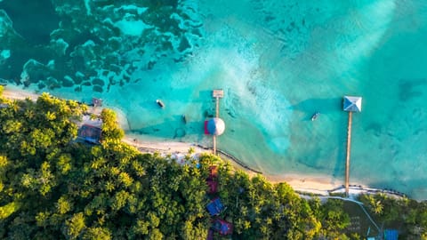 Natural landscape, Bird's eye view, View (from property/room)