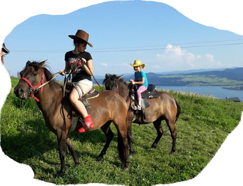 Activities, Horse-riding, Pets, Lake view, Mountain view