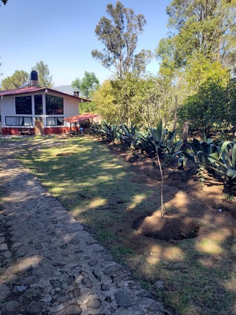 Property building, Natural landscape, Garden, Garden view