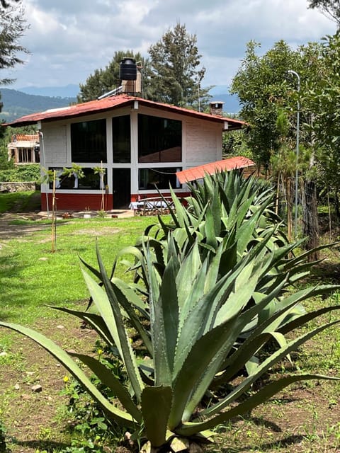 Property building, Natural landscape, Garden view