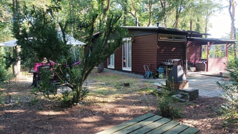 Property building, Garden view