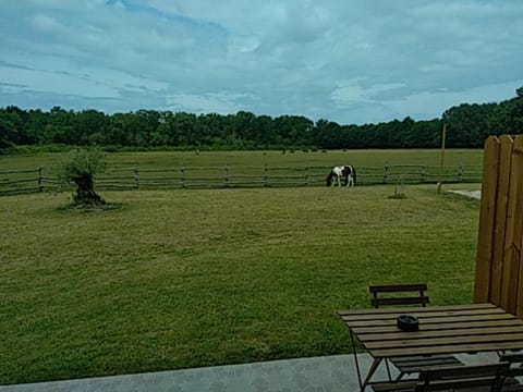 eco nature, gite à la ferme House in Vendays-Montalivet