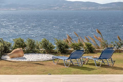 Garden, Sea view, sunbed