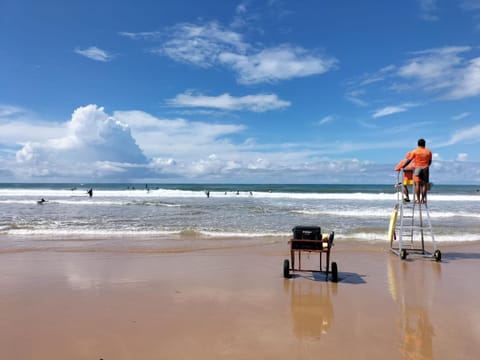 Natural landscape, Beach, Sea view