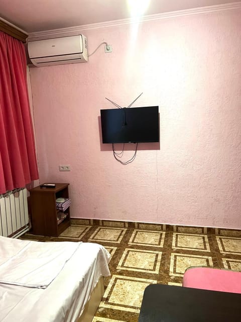 Communal lounge/ TV room, Bed, TV and multimedia, Bedroom, air conditioner