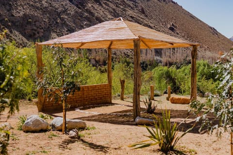 Natural landscape, Garden, Garden view, Mountain view