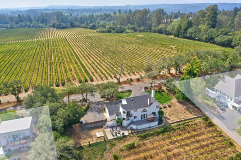 Moore Family Farmhouse--spectacular views immersed amongst the vines House in Forestville