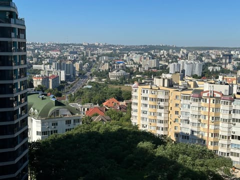 Property building, Day, Neighbourhood, Natural landscape, City view, Street view