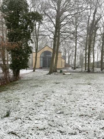 Property building, Winter, Garden