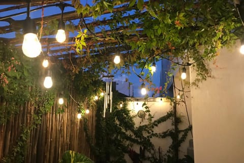 Night, Garden, Garden, Garden view