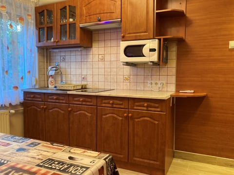 Coffee/tea facilities, Kitchen or kitchenette, minibar, stove