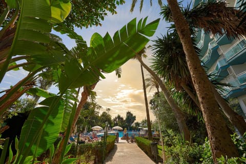 Day, Garden, Garden view, Swimming pool