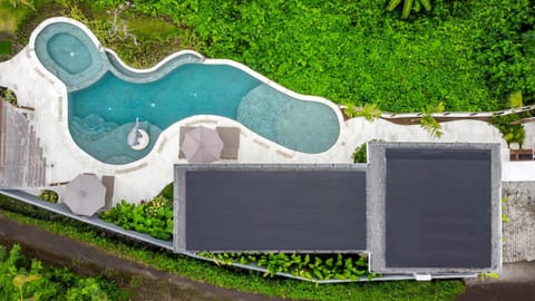 Day, Bird's eye view, Swimming pool