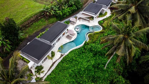 Day, Bird's eye view, Garden, Garden view, Pool view, Swimming pool