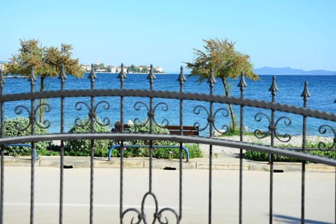 Summer, Beach, Area and facilities