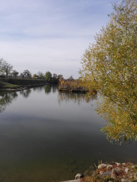 Neighbourhood, Lake view