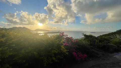 Picturesque 1 bedroom apartment Apartment in Sint Maarten