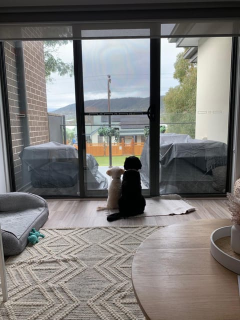 Living room, Pets, Mountain view