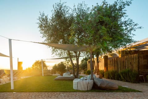 Garden, Swimming pool, Sunset