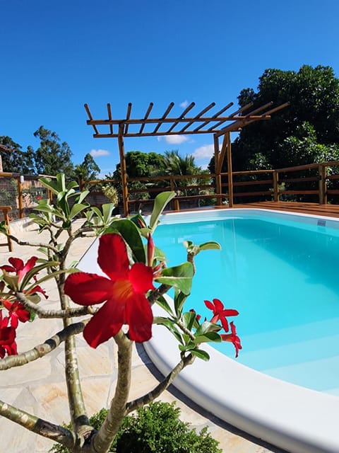 Garden, Pool view, Swimming pool, sunbed