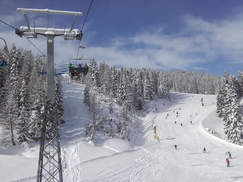 Activities, Winter, Skiing