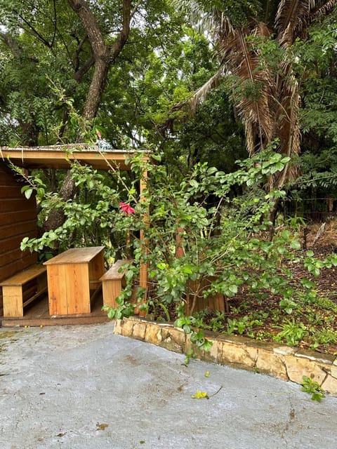 Property building, Day, Garden view