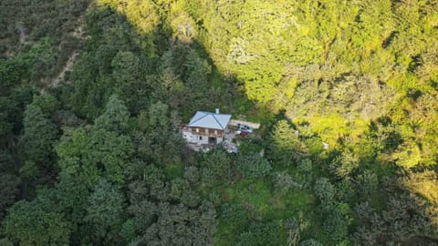 Bird's eye view, Garden view, Mountain view