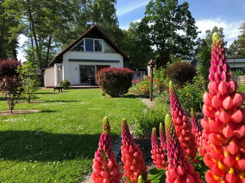 Property building, Garden