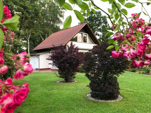 Property building, Garden, Garden view