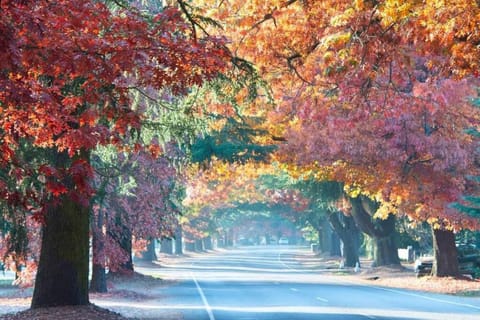 Neighbourhood, Natural landscape