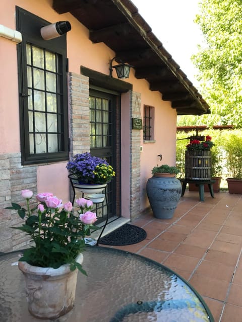 Patio, Garden, View (from property/room)