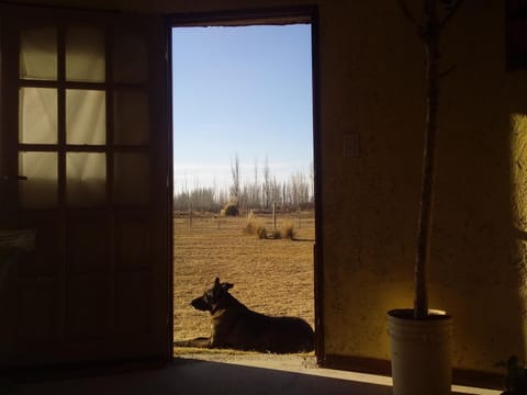 Buda de Uco Lodge Country House in Mendoza Province Province