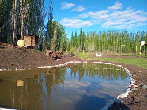 Buda de Uco Lodge Country House in Mendoza Province Province