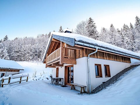 Chalet 3* Valmorel, skis aux pieds, 3 chambres, parking, WIFI - FR-1-356-401 Chalet in Les Avanchers-Valmorel