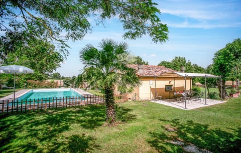 Patio, Garden, Swimming pool