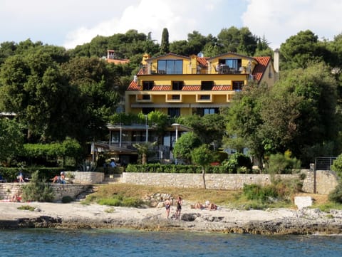 Summer, Beach, Area and facilities